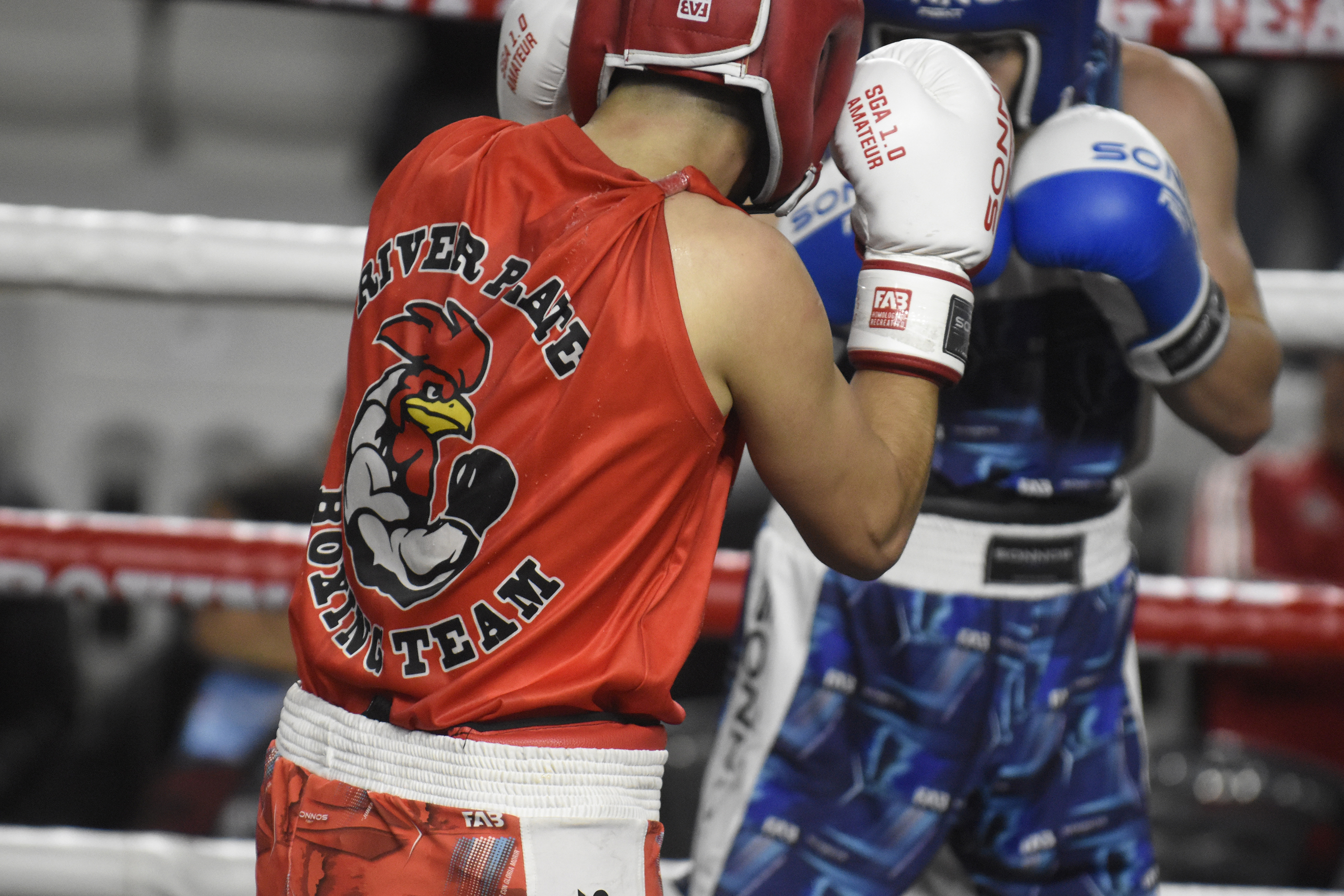 Boxeo