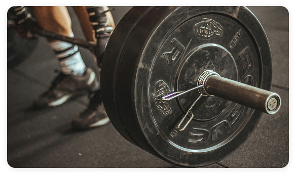 Fitness Gym