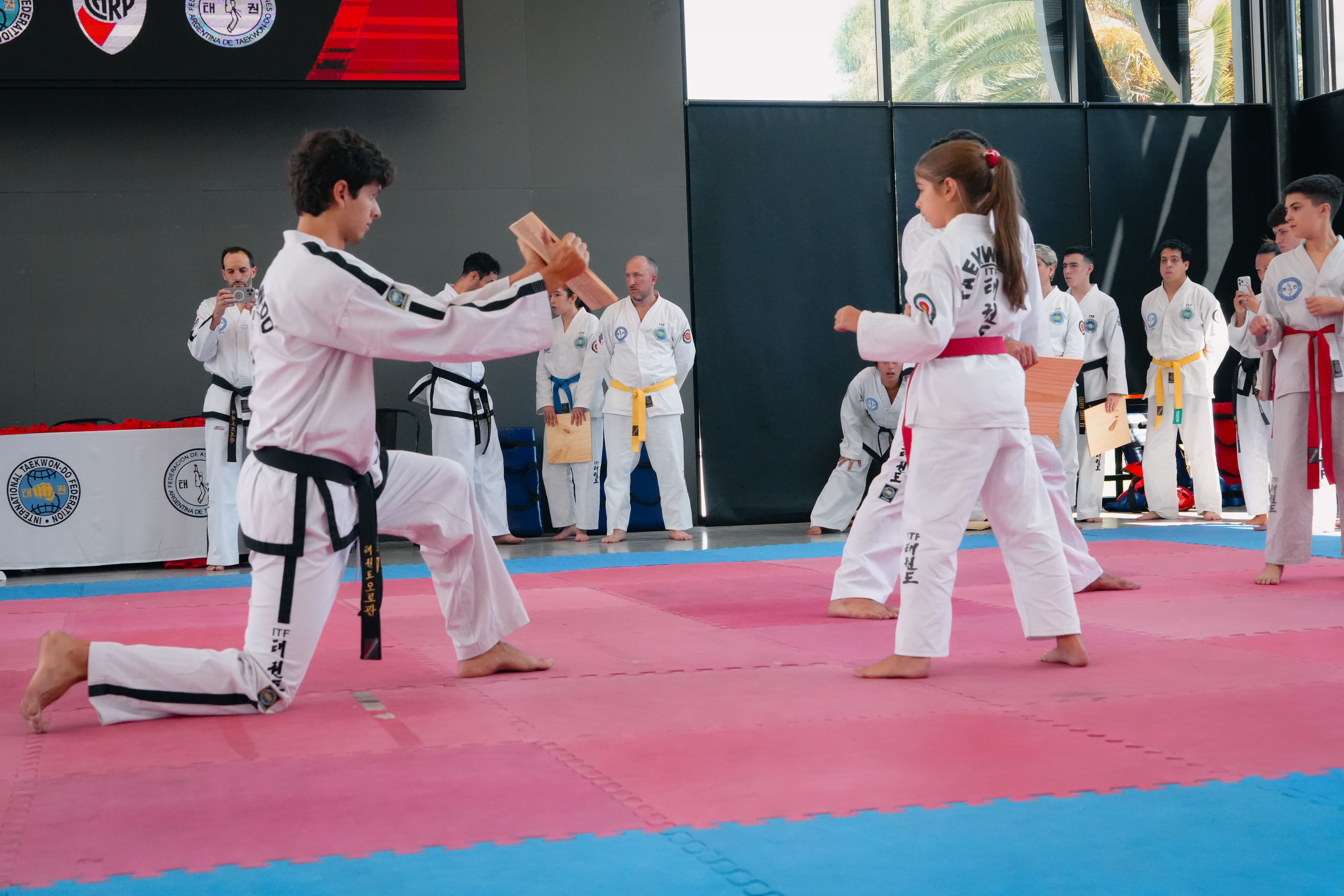 Taekwondo